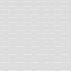 Phasellus ornare varius magna, in consequat augue accumsan nec.