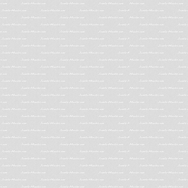 Phasellus ornare varius magna, in consequat augue accumsan nec.