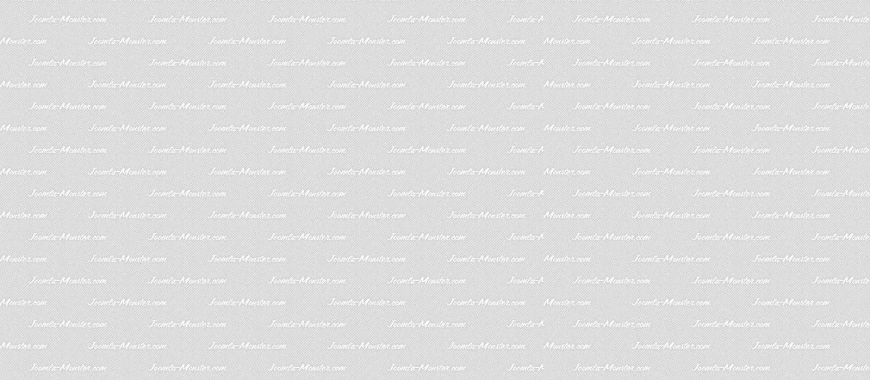 Phasellus ornare varius magna, in consequat augue accumsan nec.